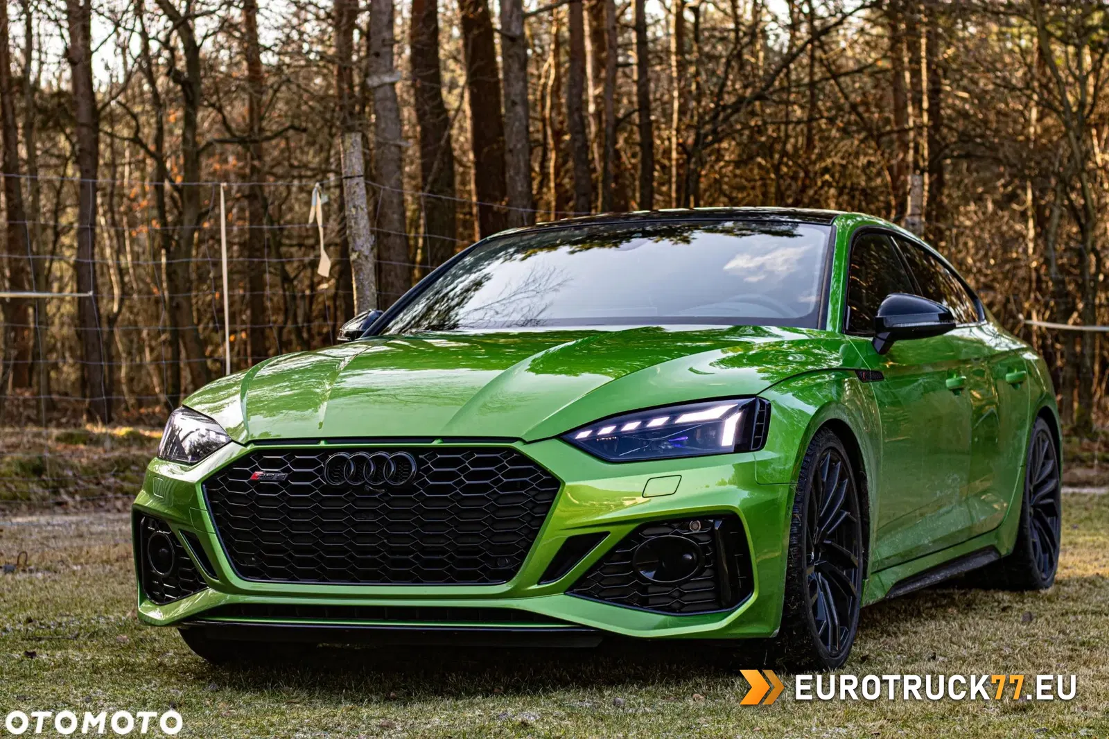 Audi RS5 Sportback 2.9 TFSI Quattro Tiptronic – 10/10